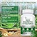 23-in-1 Saw Palmetto for Men 10000 mg Saw Palmetto per Serving, Prostate Health Supplement Pro with Ashwagandha, Pumpkin Seed, Stinging Nettle for Prostate, DHT Blocker, Urinary & Hormones, 120 Caps