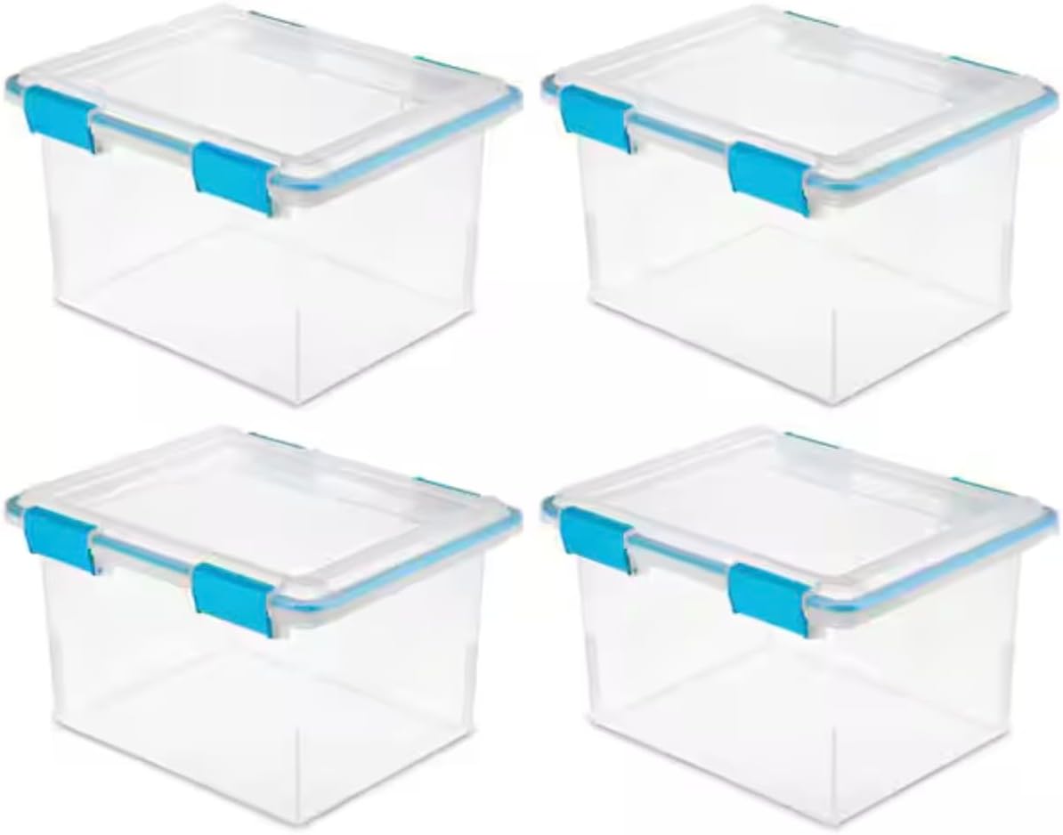 Clear Base Gasket Box (4 Pack) FF56883