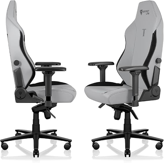Secretlab Titan Evo Ash Gaming Chair - Reclining, Ergonomic & Comfortable Computer Chair with 4D Armrests, Magnetic Head Pillow & 4-Way Lumbar Support - Gray - Leatherette