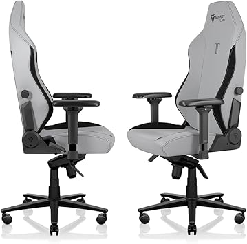 Secretlab Titan Evo Ash Gaming Chair - Reclining, Ergonomic & Comfortable Computer Chair with 4D Armrests, Magnetic Head Pillow & 4-Way Lumbar Support - Gray - Leatherette