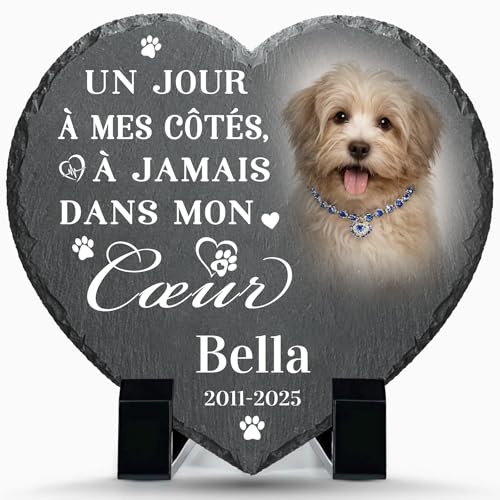 Plaque commémorative personnalisée chien chat –...