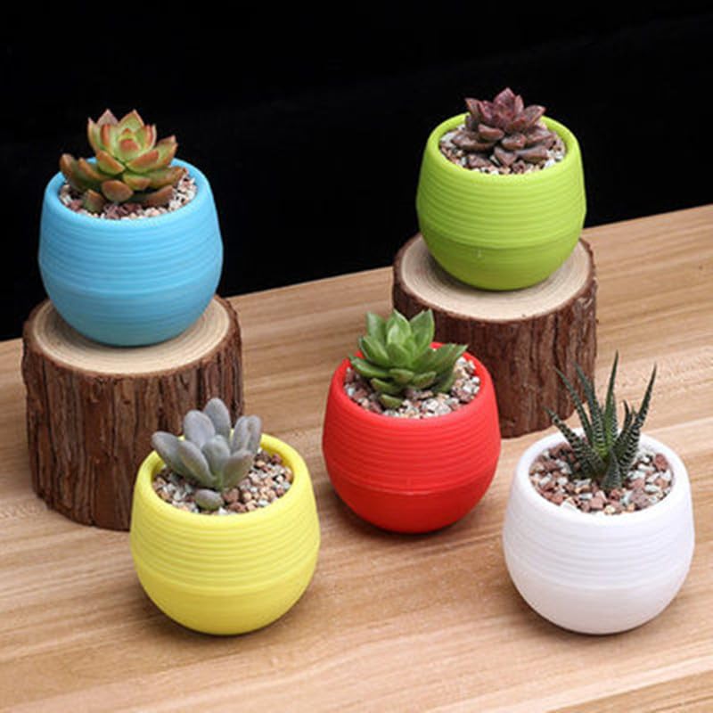 5 PCS Candy Color Mini Flower Pots Double Layer Dry-Wet Separation Resin Pots Tabletop Small Planter Pot for Succulents, Cactus, 7 * 7 * 5CM, 5 Colors