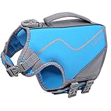 VIVAGLORY Schwimmweste für Kleine Hunde, Hautfreundliche Hundeschwimmweste aus Neopren mit Starkem Auftrieb und Rettungsgriff, Blau, Größe S