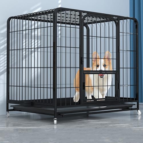 Cage de transport pour chien double porte et plateau amovible toutes tailles