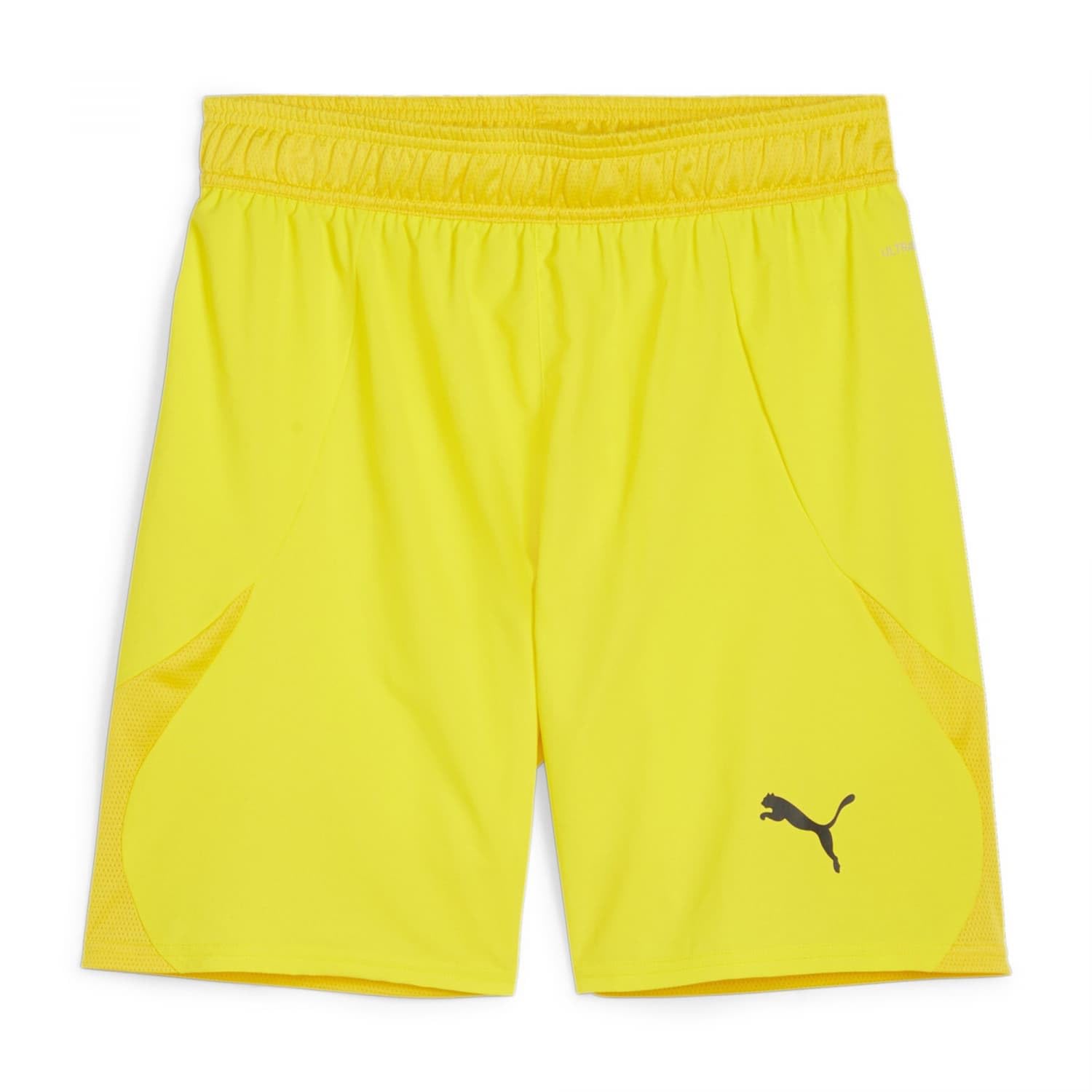 PUMA teamFINAL Shorts