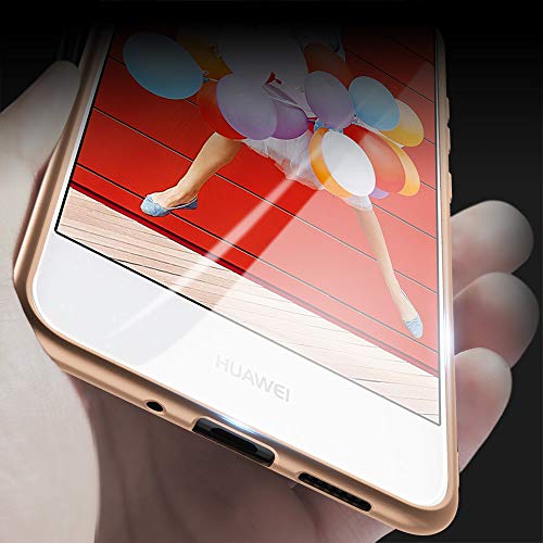 X-level Cover Huawei P10 Lite, [Guardian Series]