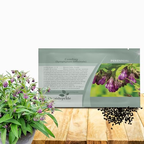 Outsidepride Comfrey Seeds - 100 Pcs. Perennial Drought-Tolerant & Low Maintenance Herb Seeds for Planting Tall Vibrant Bell-Shaped Purple Blooms for Versatile Uses & Pollinator Gardens