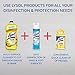 Lysol Clean & Fresh Multi-Surface Cleaner, Lavender Orchid, 40 Fl Oz (Pack of 2)