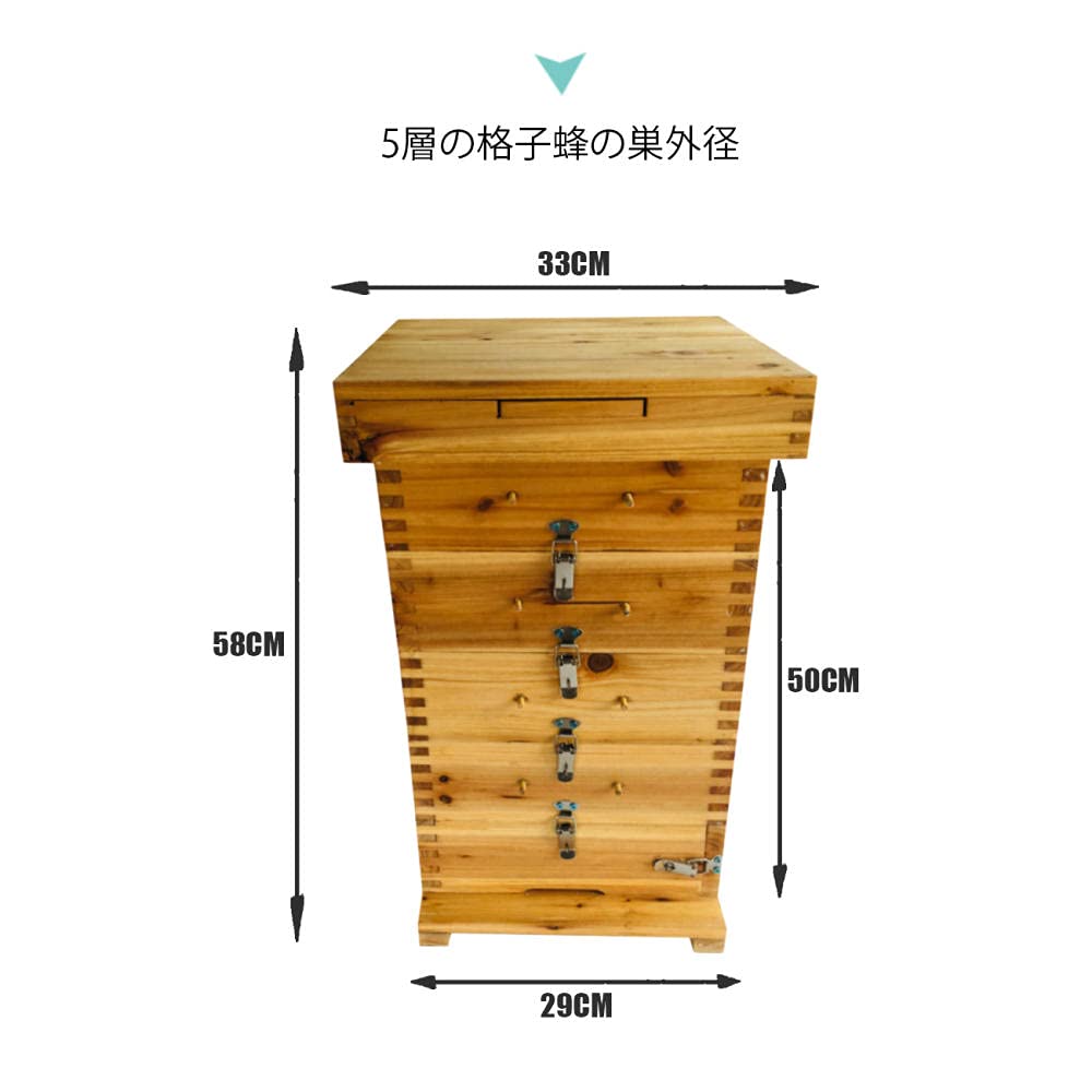 Amazon | Sixboy 5グリッド 蜜蜂巣箱 巣箱 蜂 養蜂箱 ミツバチの巣箱
