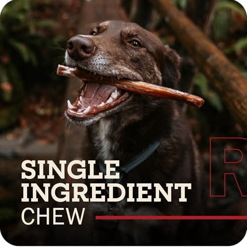 Redbarn Pet Products 12" Braided Bully Sticks for Dogs 2-Count, Pack of 12 - 1