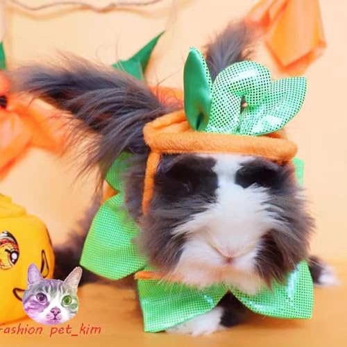 Disfraz de Calabaza para Gatos y Perros Pequeños Halloween miniatura 6