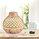 Czemo Aroma Diffuser 400ml Ultraschall Luftbefeuchter Duftöl Duftlampen Aromatherapie Diffusor mit Fernbedienung und 14 Farben LED für Yoga Büro Schlafzimmer