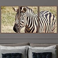 3 Piece Framed Canvas Wall Art Black and White Animals Canvas Prints Home Artwork Decoration for Living Room,Bedroom - 16