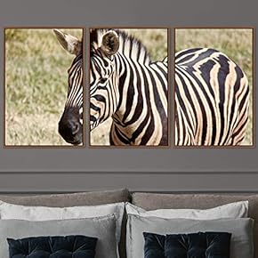 signwin 3 Piece Framed Canvas Wall Art Black...