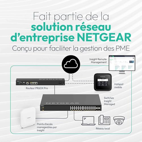 NETGEAR Routeur Pro 10 Gbit/Multi-Gigabit Dual-WAN avec Management Cloud Insight (PR60X) – 10 Gbit SPF+ - avec basculement en Cas de défaillance – 32 VLAN - Configuration VPN IPSec – Rackable