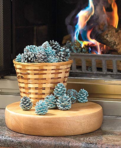Fireplace Rainbow Flame-Coloring Flame Changing Pine Cones 1 Pound Bag