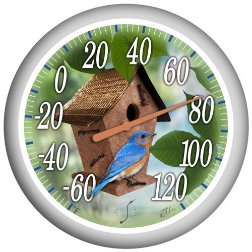 Springfield Outdoor Thermometer Amazon.in Garden & Outdoors
