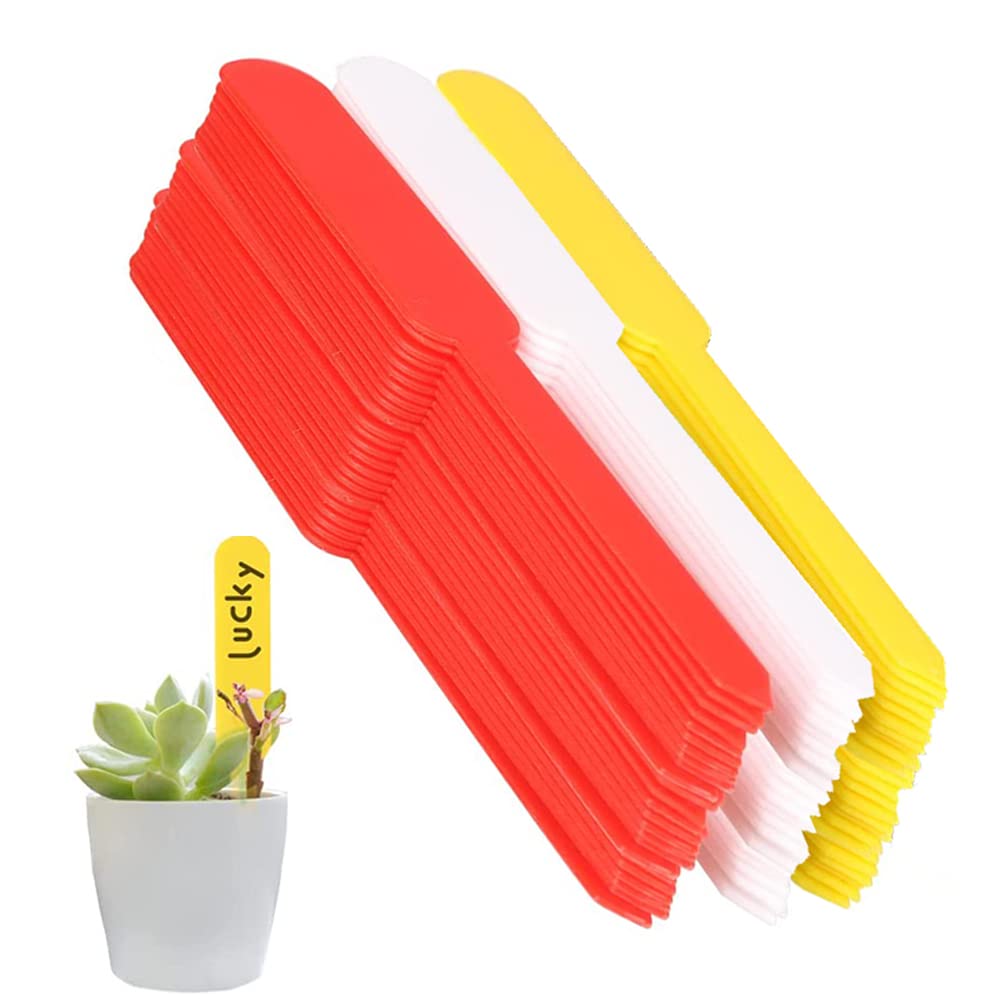 300 Etichette Per Piante In Plastica Multicolore – Impermeabili, Riutilizzabili, 20x2 Cm – Per Orto, Giardino E Vivaio