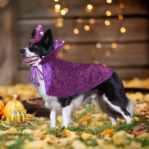 Disfraz de Bruja para perros mediano y pequeño miniatura 6