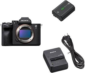 極美品】SONY α7S III ボディ 純正バッテリー＆充電器セット付／完動品 楽天市場】ソニー NP-FZ100 互換充電器 a9 II / α9III / a 7RIII