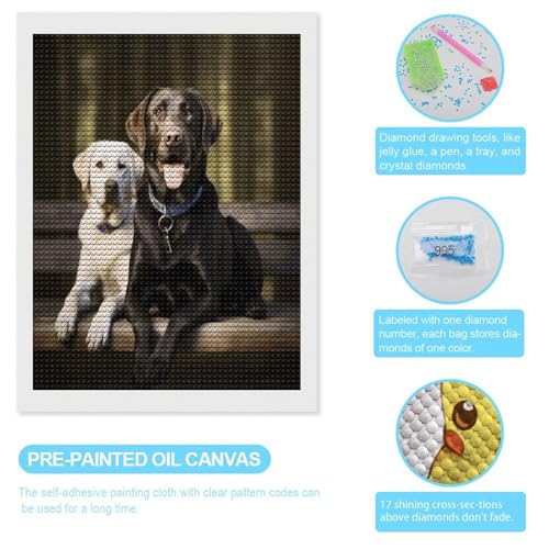 Cuadros de diamantes de Labrador VstaDank para decorar tu salón con manualidades hechas a mano 3