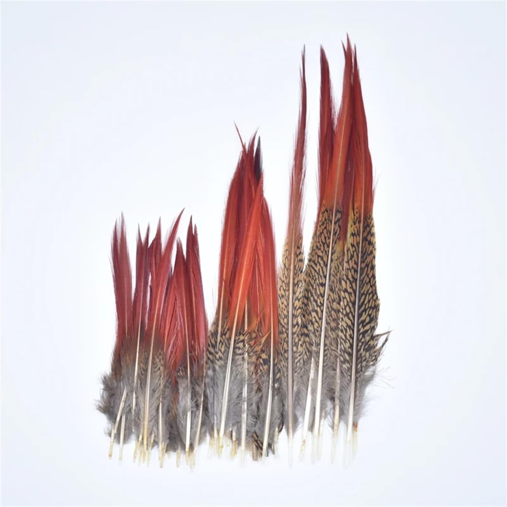 Naturalne pióra bażanta, Craft Pióra z ogona bażanta Multikolor 5-25cm 10-200 szt(10 Piece)