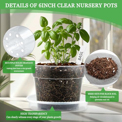 BTPLASTIK 6 Inch Clear Nursery Pots with Humidity Domes 15 Pack, Transparent Plastic Plant Pot with Drainage Holes and Saucers, Seed Starter Pots with 15 Pcs Plant Labels and 15 Pcs Soil Screens by BTPLASTIK - Image 3