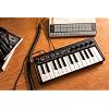 IK Multimedia iRig Keys 2 Mini portable keyboard MIDI controller with 25 velocity-sensitive synth-action mini keys and headphone output, for iPhone, iPad, Mac, PC, Android