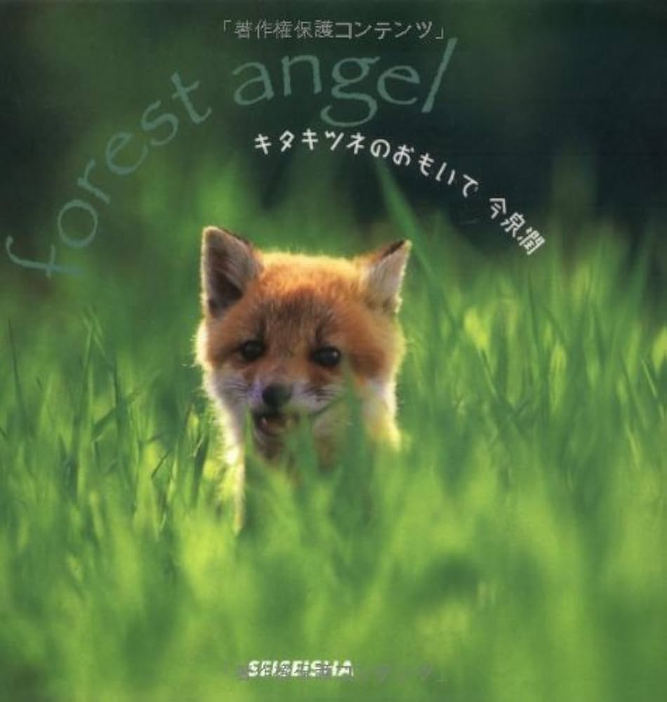 キタキツネのおもいで (Seiseisha mini book) | 今泉 潤 |本 | 通販