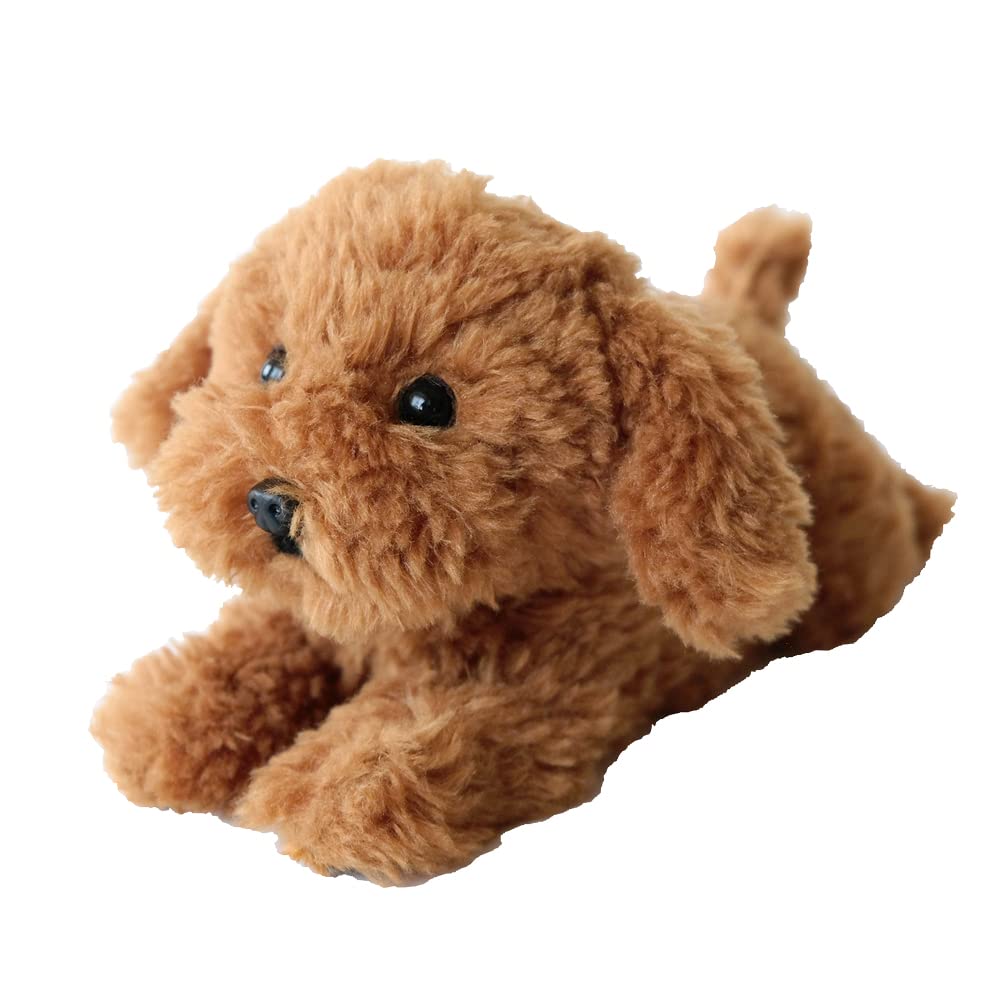 Sunlemon P-8082 Kneeling Puppy, Toy Poodle, BR SS 5.9 x 10.2 x 4.7 inches (15 x 26 x 12 cm), Stuffed Animal, Cute Dog : Health & Personal Care