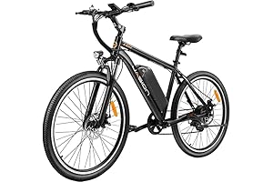 Jasion EB5: The Cheapest and Most Reliable Electric Bike