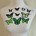 10PCS Green Butterfly Embroidery Applique Patch Iron on Cotton Applique Butterfly Patch