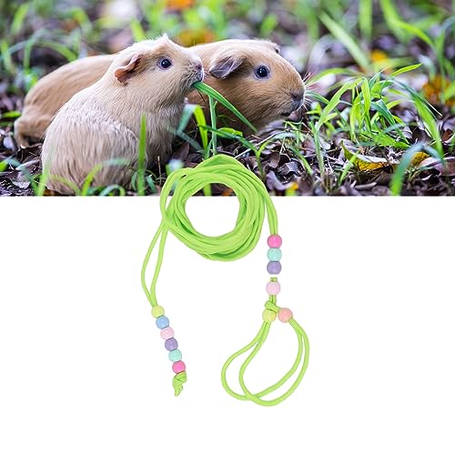 Image of Polyester Rope, Adjustable Small Animal Traction Leash for Lizard,Bearded Dragon Harness, Guinea Pigs, Hamsters, Chinchillas, Outdoor Pet Walking, Safe And Comfortable, Easy To Use