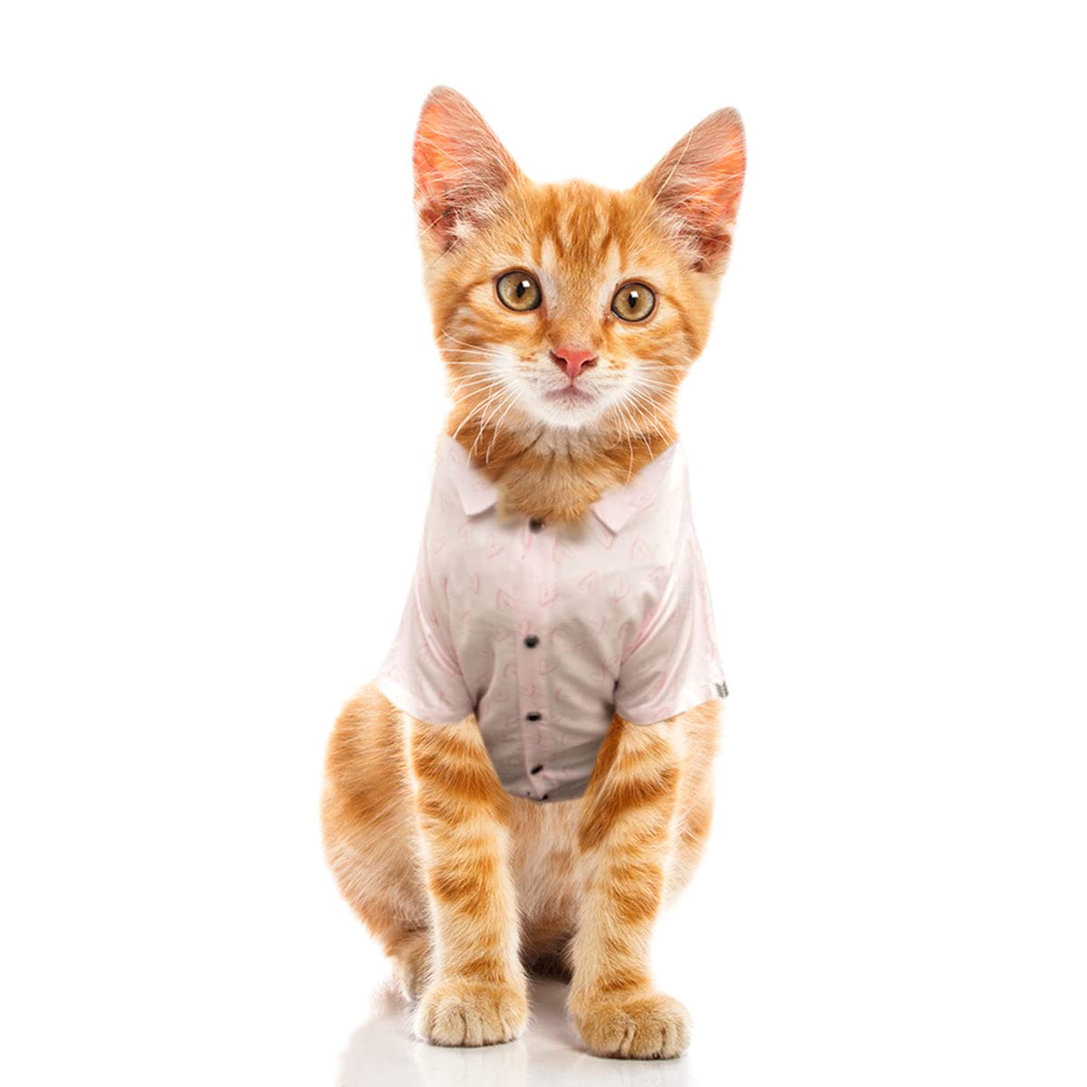 Ruse Pet Floral Jungle Cat Collar Shirt | SoftTech Half Sleeves/Apparel/Clothes Shirt Gift for Cat Collars.