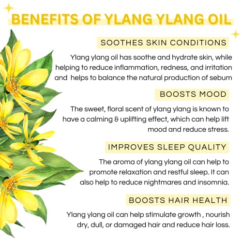 Image of Ylang Ylang Essential Oil - Therapeutic Grade For Skin & Hair Care & Aromatherapy- 15Ml