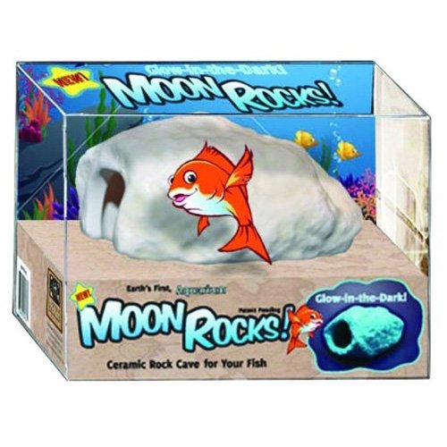 Glow Moon Rock Cave