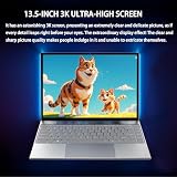 13.5-inch portable touchscreen laptop computer 13.5-inch portable touchscreen laptop computer