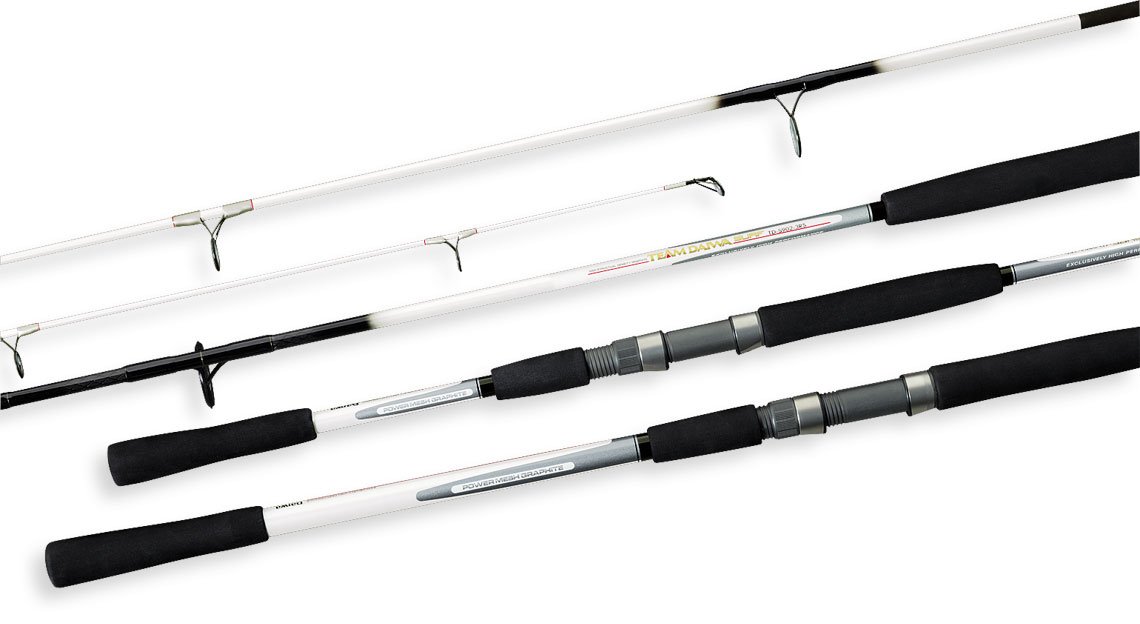 Buy Daiwa TD-S902-3RS Team Daiwa TD-S Surf Rod (9- Feet, Medium, 2