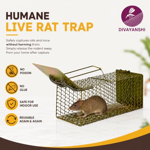 Image of Divayanshi Heavy-Duty Rat Trap - Reusable Humane Rodent Catcher for Mice & Rats, Strong Spring Mechanism, Easy to Set & Clean, Indoor & Outdoor Use (9 inch)