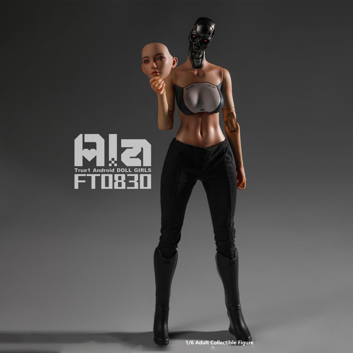 Amazon | HiPlay True1Toys 人造人間 Ala FT0830 1/6 可動