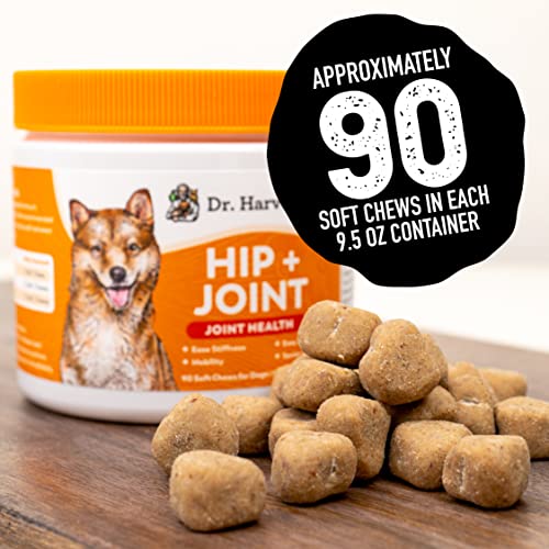 Dr. Harvey's Hip & Joint Soft Chews For Dogs, Daily Mobility Supplement Chewable Treats For Dogs With Glucosamine, Chondroitin & Msm, Green Lipped Mussel, Chicken Flavor (90 Chews) #TOP7