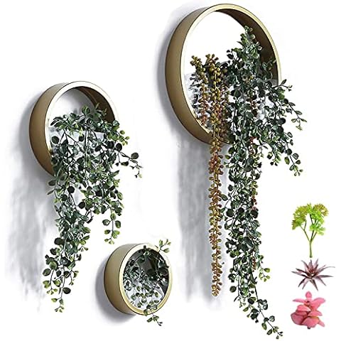 ZEETOON Modern Wall Planters Wall Vase Succulent Planter Circle Round Flower Pot Metal Iron Indoor Vertical Container Wall Hanging Cover