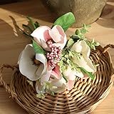 Arreglo de flor de bricolaje SJHQ Flor Preservada 2 Colores de Seda Magnolia orquídea Ramo Artificial Flores de Boda decoración Nupcial Ramo de Novia decoración de la casa Flor Falsa Flor Artificial (Color : Light Pink)