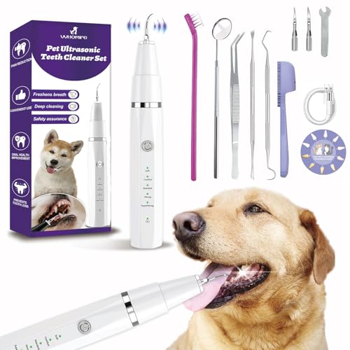 VVHOMIFE Dog Teeth Kit
