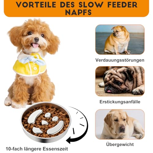Antischlingnapf Hunde Edelstahl - Anti Schling Napf Hund Ø22cm Slow Feeder aus 304 Edelstahl, Metall Schlecknapf für Schnelle Esser, Spülmaschinengeeignet & Langlebig, für mittelgroßer Hund