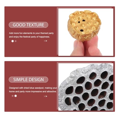 12 piezas de decoración con semillas de loto secas naturales miniatura 7