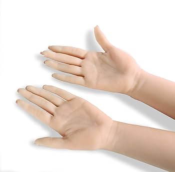 Amazon | ハンドモデル 手 マネキン 模型 トルソー 女性 自然感 超