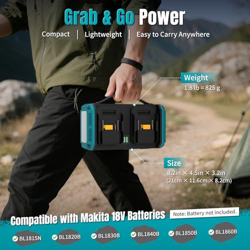 Portable Power Inverter Pure Sine
