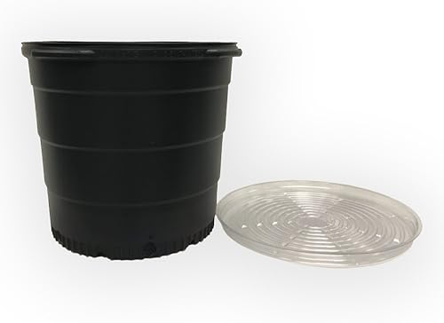 Miniatura 8 de Viagrow Macetas de 3 galones con platillos de 12 pulgadas