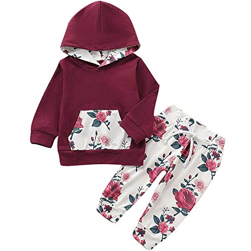 Luiryare Newborn Infant Baby Floral Printed Long Sleeve Hoodie Tops Long Pants Outfit Suit Fall Winter Toddler Kids Clothes Set, 2PCS (6-12 Months, Red + Floral)